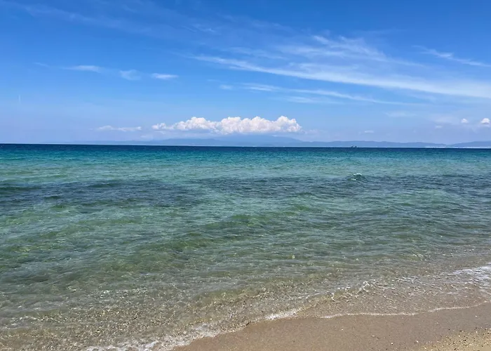 Pelagio