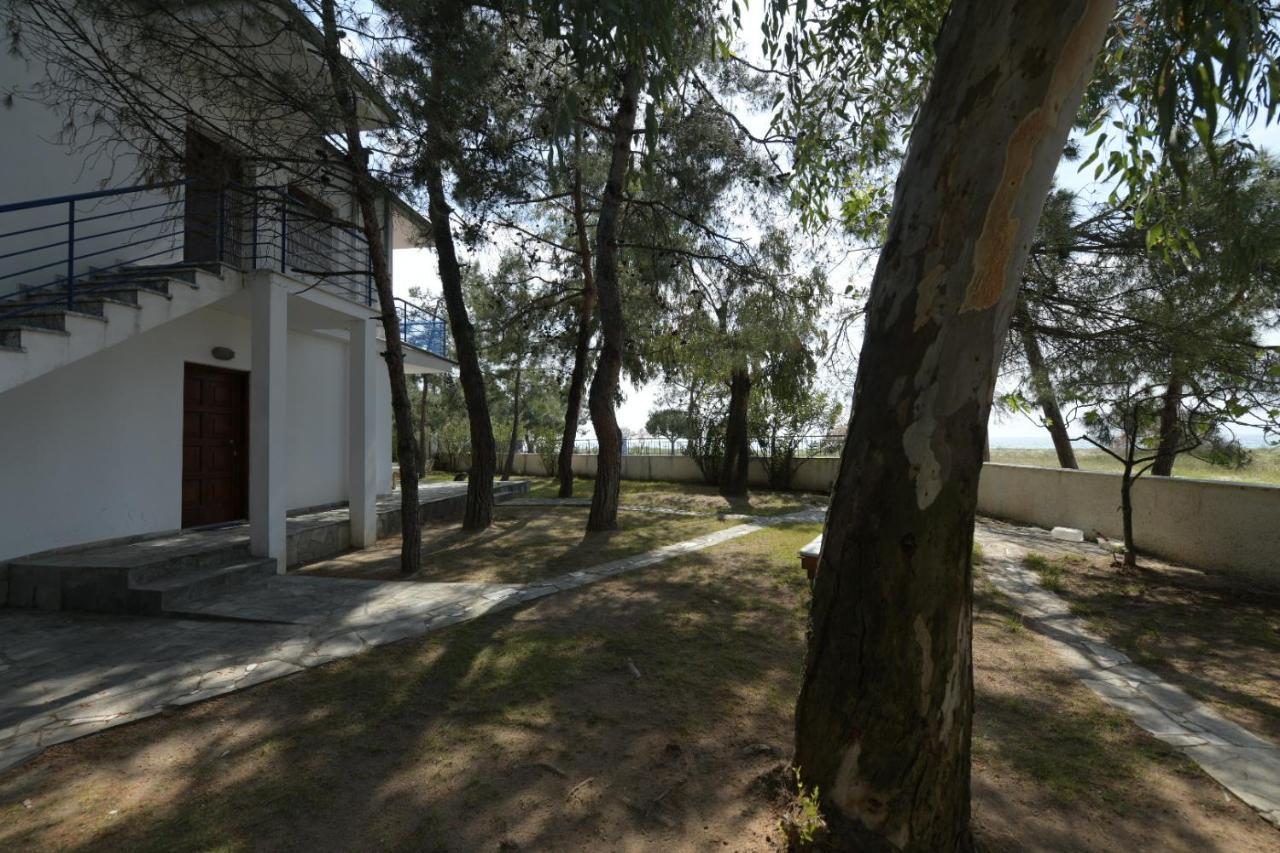 Pelagio